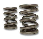 DURAMAX DUAL VALVE SPRING AND AND TITANIUM RETAINER KIT